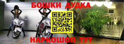 прущая мука Дубна