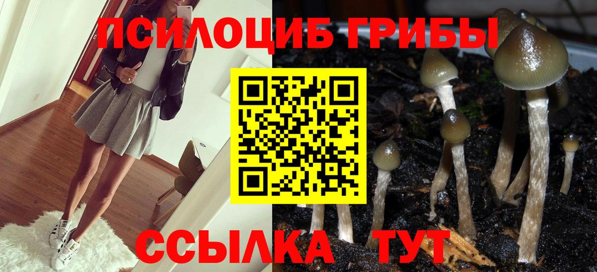 Муравленко  Галлюциногенные грибы MAGIC MUSHROOMS  Вход с VPN 