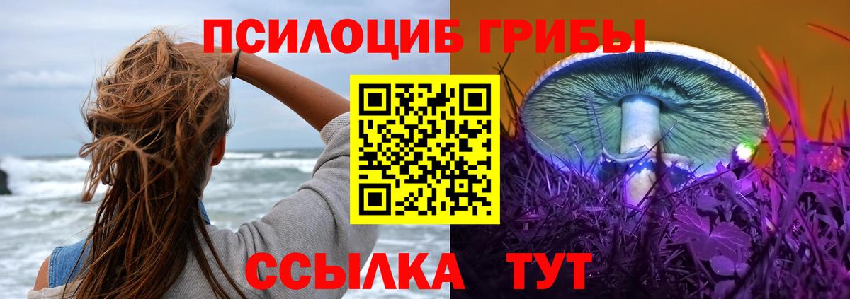 Галлюциногенные грибы Psilocybe Муравленко